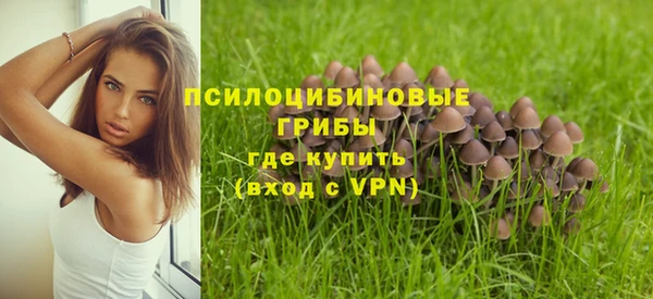 гидропоника Балабаново